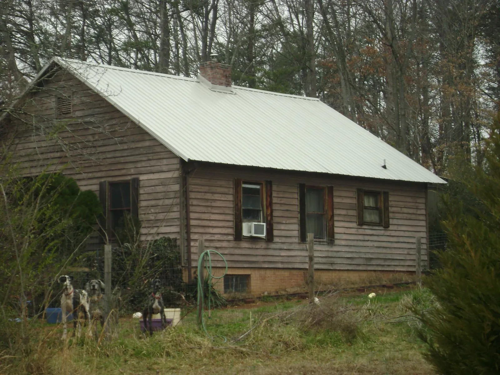 White metal roof on an old wood sided farmhouse, from a Asphalt Shingle Roof Repair job in Dulzura